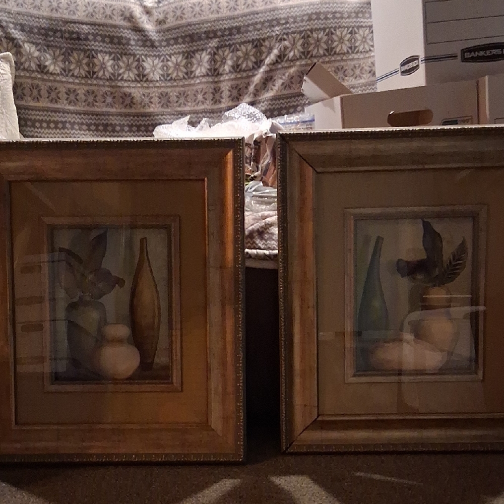 Elegant Framed Art Photography Set